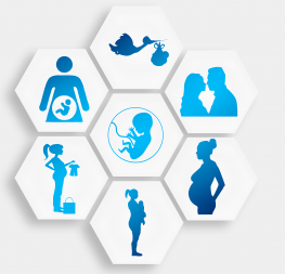 Journée régionale URAF du 01-12-2016  "Les associations familiales : des services pour l'attractivité des territoires"