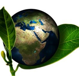 Mon Observatoire du Développement Durable : la campagne 2019 est lancée jusqu'au 30 septembre 2019 !