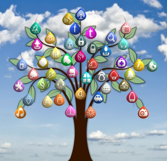 ESS : ouverture d'une plateforme interactive pour identifier toutes les aides disponibles