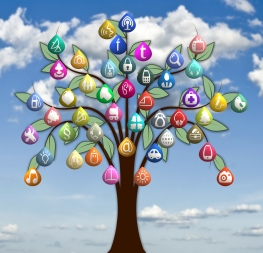 ESS : ouverture d'une plateforme interactive pour identifier toutes les aides disponibles