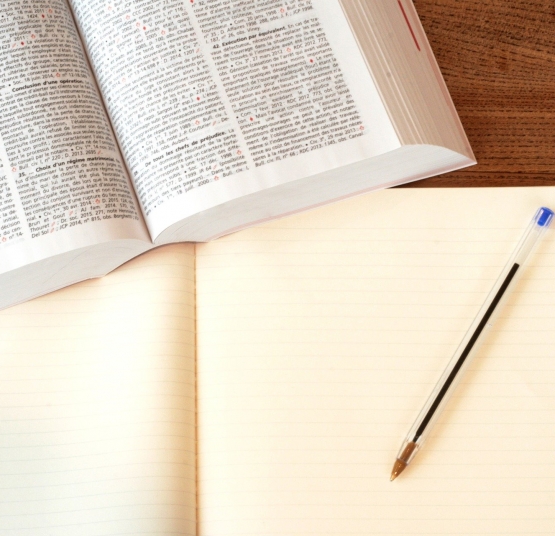 Projet de loi confortant le respect des principes de la République