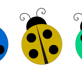 Festival zéro waste MARSEILLE 2021